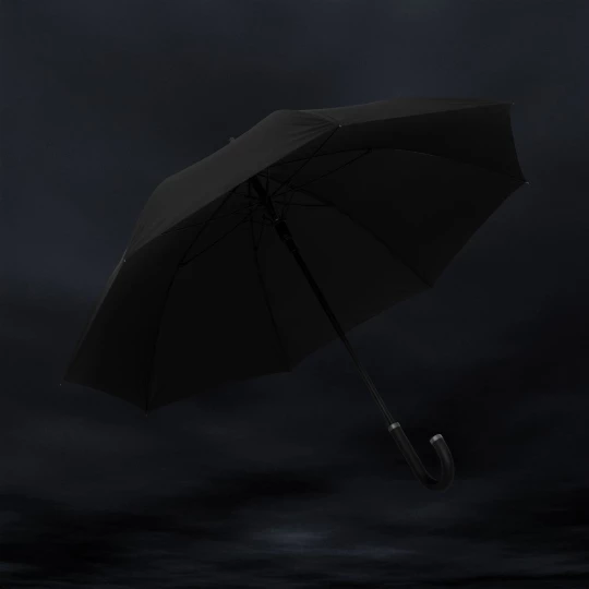 Swiss Peak Vero Aware™ RPET 25” umbrella w luxe handle (P850.7501)-1