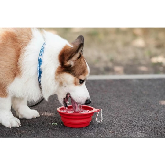Foldable dog bowl | Platora (VA071-05)-1