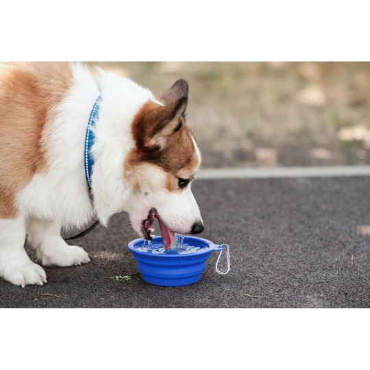 Foldable dog bowl | Platora (VA071-11)-1