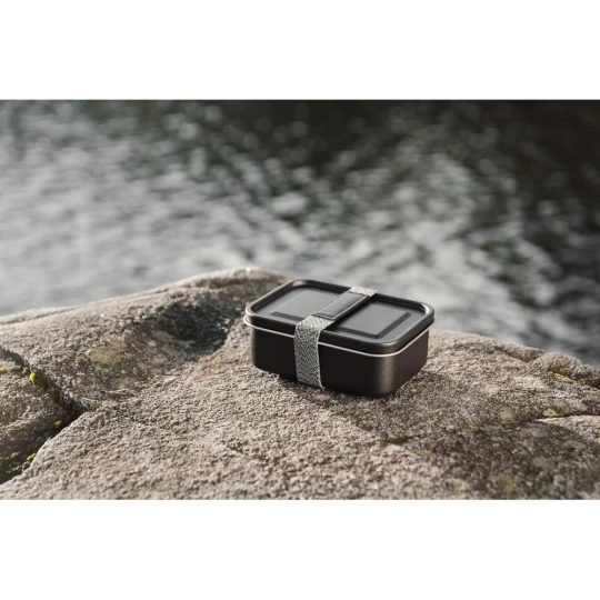 Lunchbox, pudełko śniadaniowe VINGA Parks (VG672-03)-1