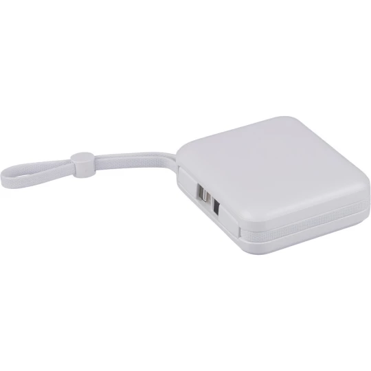 Power bank 10000 mAh (VB100-02)-1