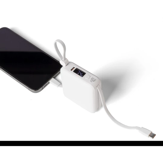 Power bank 10000 mAh (VB100-02)-1