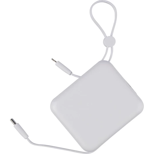 Power bank 10000 mAh (VB100-02)-1