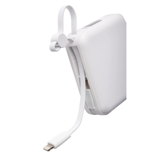 Power bank 10000 mAh (VB100-02)-1