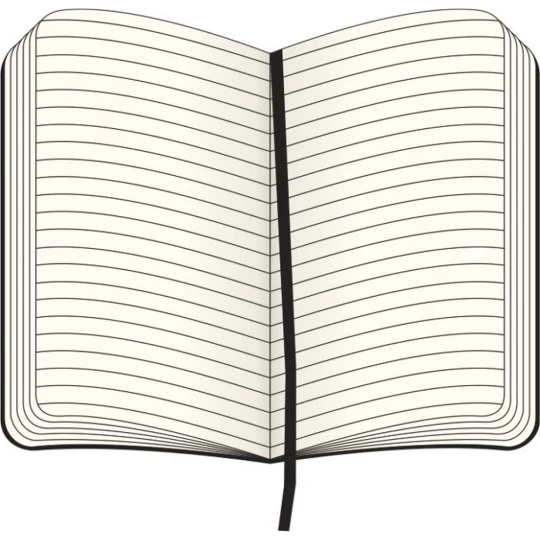 MOLESKINE Notatnik ok. A5 (VM301-13)-1