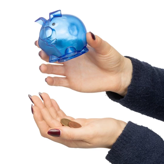 Sparschwein  (VB169-11)-1