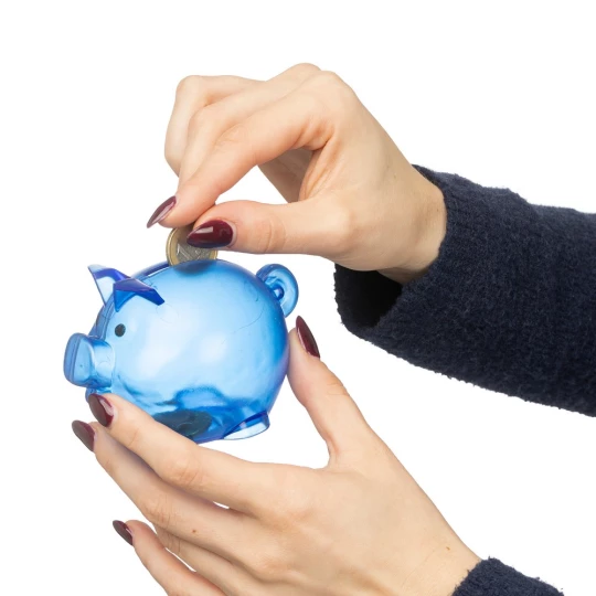 Sparschwein  (VB169-11)-1