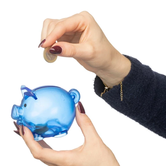 Sparschwein  (VB169-11)-1