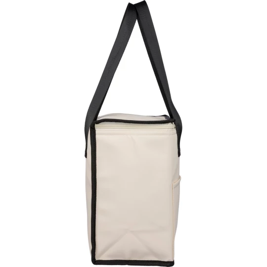 Cooler bag (VB154-20)-1