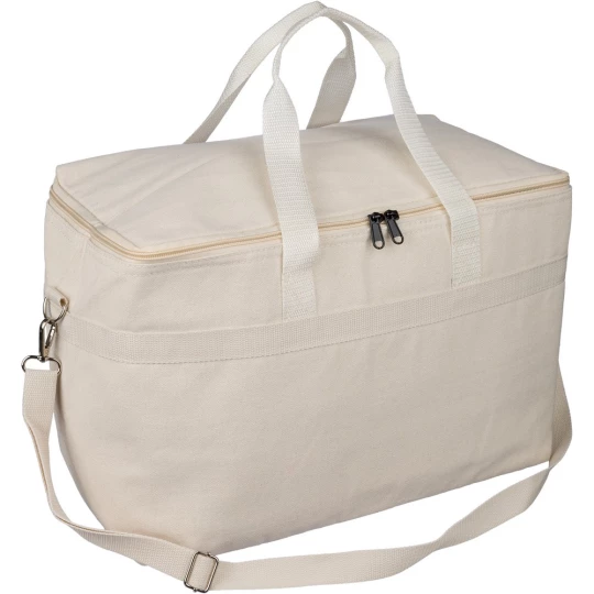 Cooler bag (VB156-20)-1