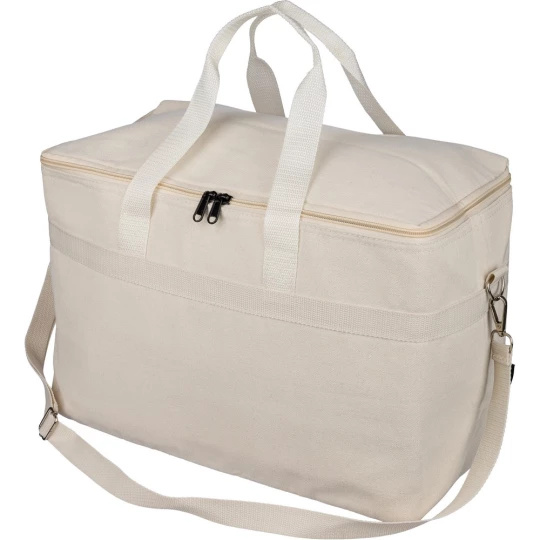 Cooler bag (VB156-20)-1
