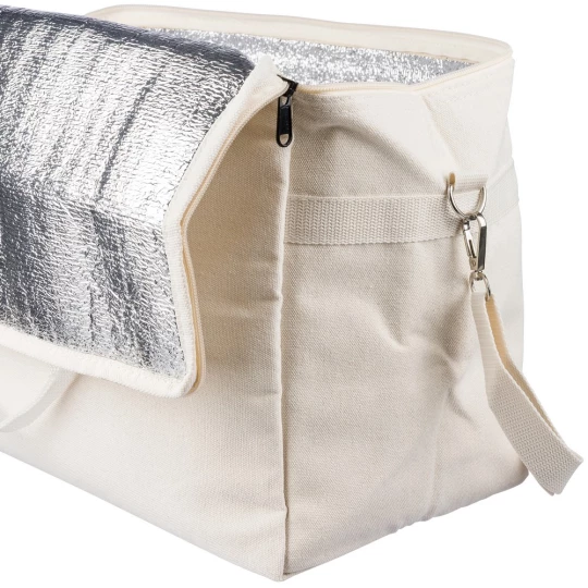 Cooler bag (VB156-20)-1