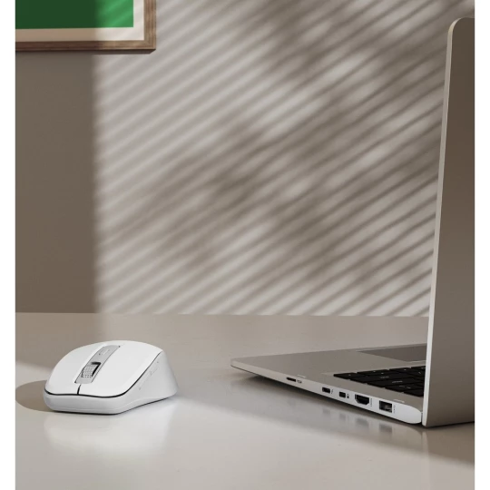 Wireless computer mouse Hama WM-450 (VH068-02)-1
