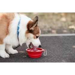 Foldable dog bowl | Platora (VA071-05)-2