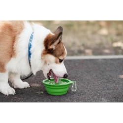 Foldable dog bowl | Platora (VA071-10)-2