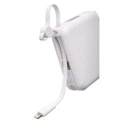 Power bank 10000 mAh (VB100-02)-10