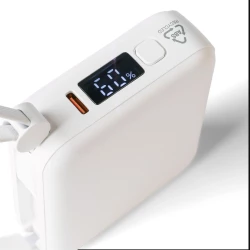 Power bank 10000 mAh (VB100-02)-13