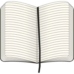 MOLESKINE Notatnik ok. A5 (VM301-07)-3