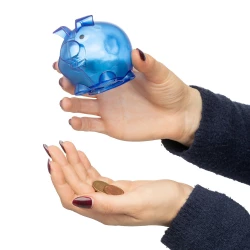 Sparschwein  (VB169-11)-2