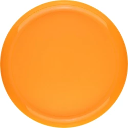 Frisbee (VB281-07)-7