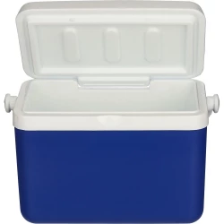Cooler bag 4 l (VB288-11)-2
