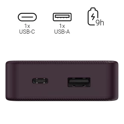 Power bank 10000 mAh Hama Power Pack (VH023-12)-10